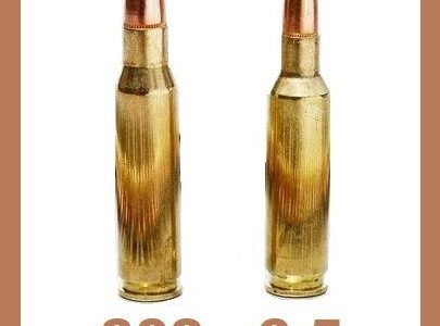.308 Versus 6.5 Creedmoor